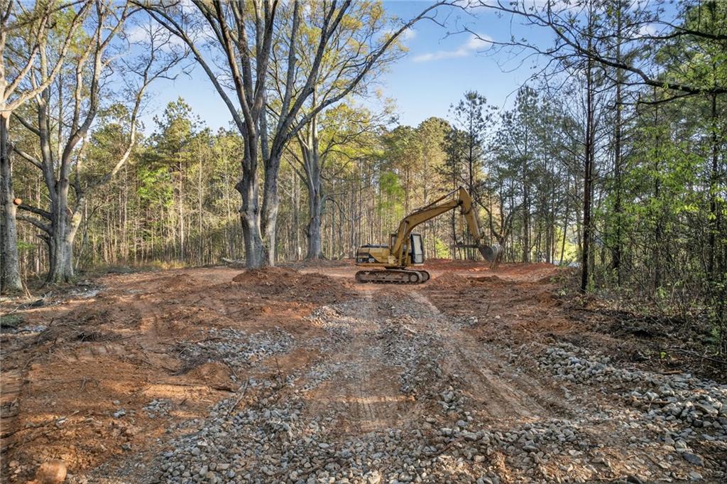 3230 Steadman Road Tallapoosa, GA 30176 - Photo 45 of 52 a view of outdoor space with trees