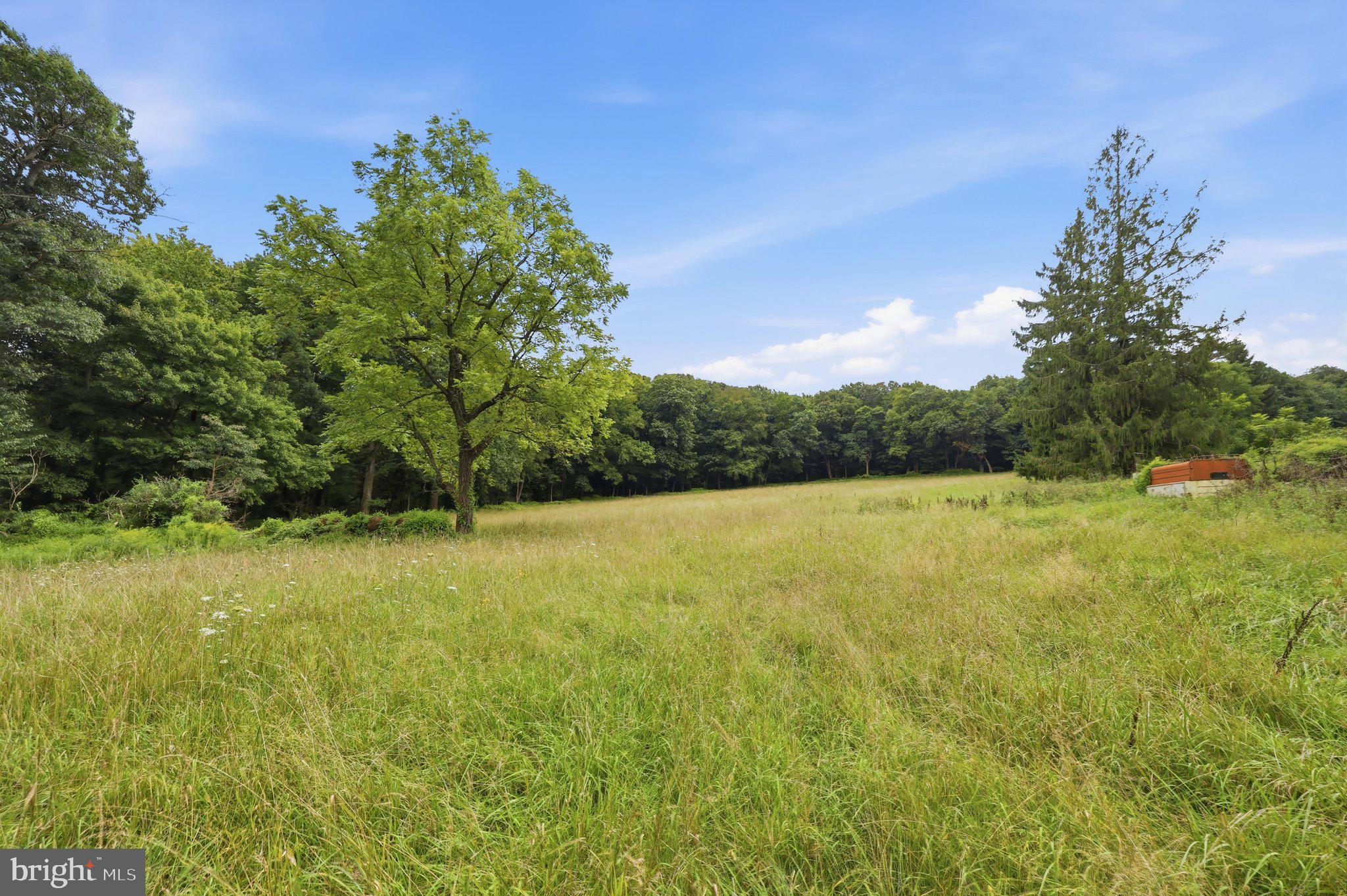 14417 Ridenour Road Smithsburg, MD 21783 - Photo 28 of 41 Land