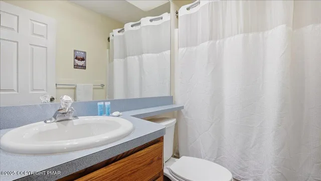 a bathroom with a sink a toilet and shower curtain