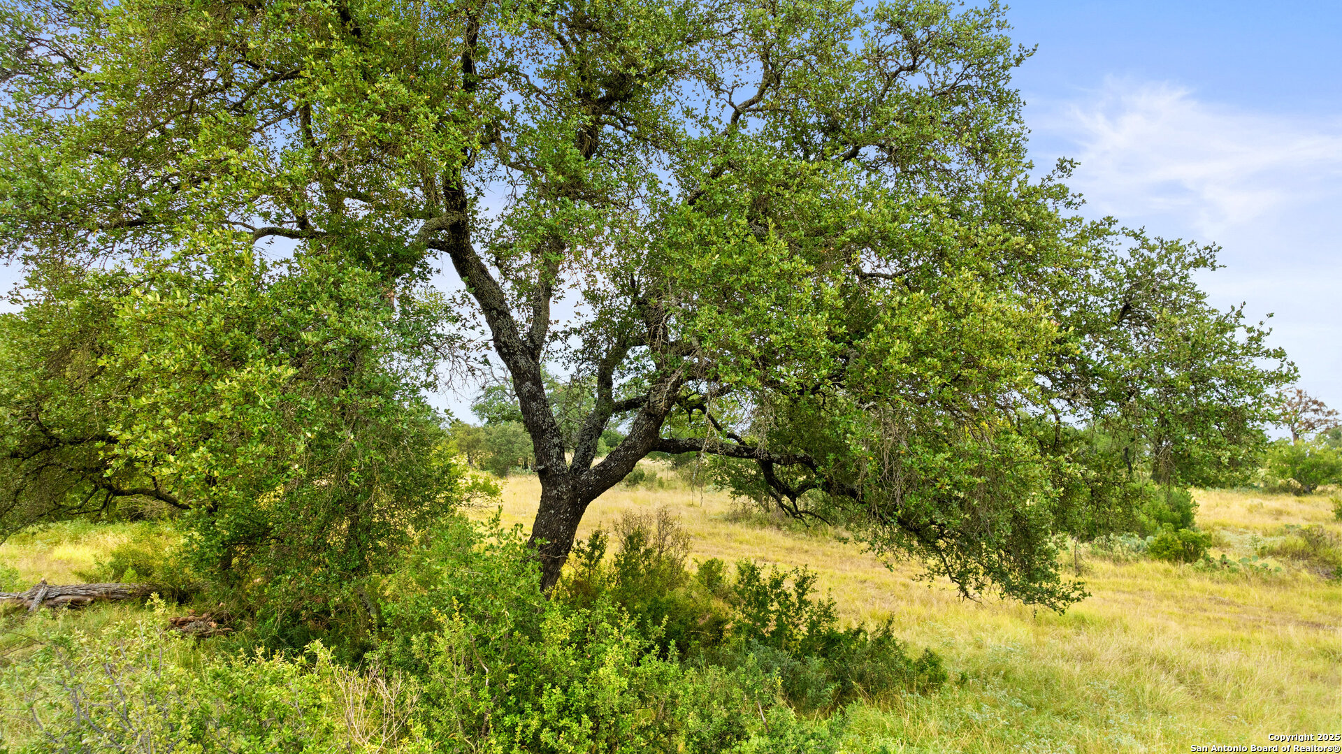 Lot 37 Vista Ridge Round Mountain, TX 78663 - Photo 16 of 31 Gallery Image 16