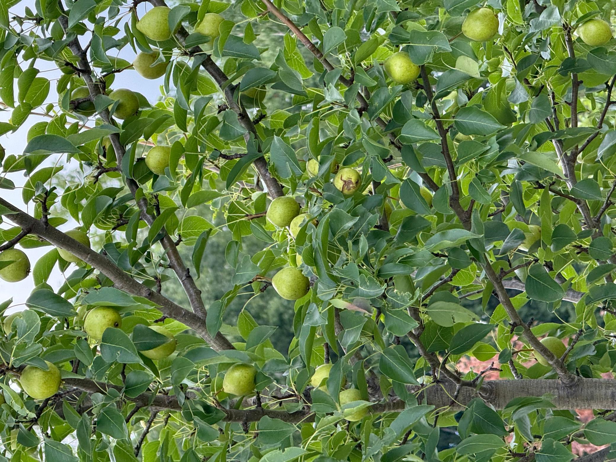 12558 West Twin Lake Road Hayward, WI 54843 - Photo 68 of 84