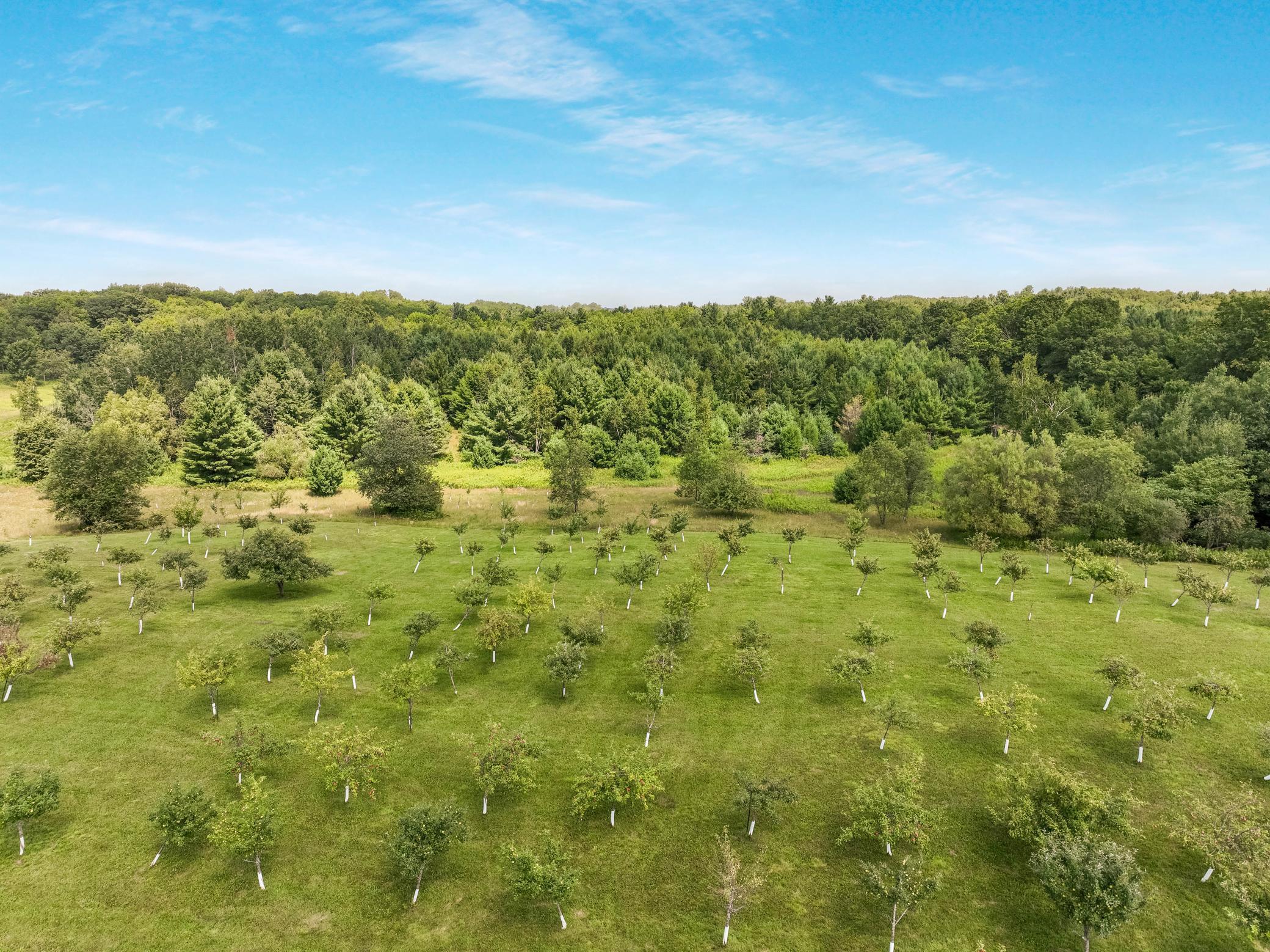 12558 West Twin Lake Road Hayward, WI 54843 - Photo 75 of 84