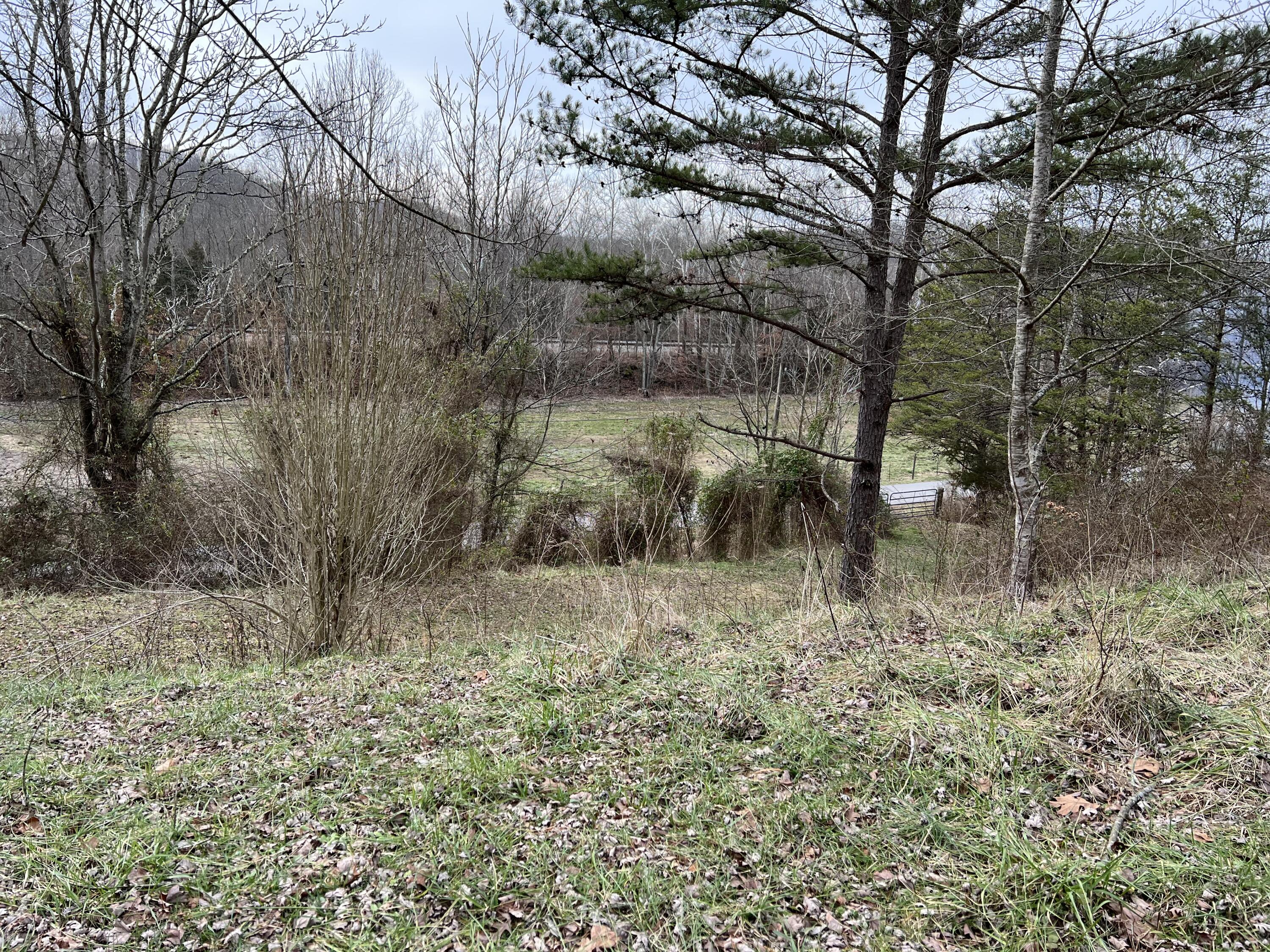 278 Old State Road Mount Vernon, KY 40456 - Photo 7 of 10 IMG_1602