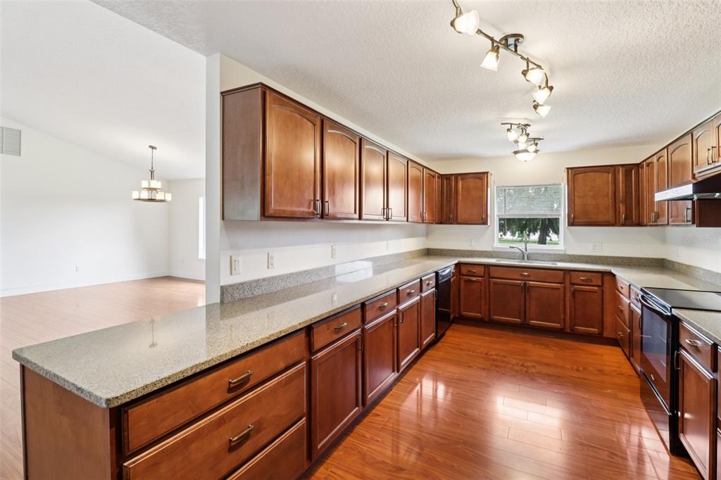 40610 Babb Road Umatilla, FL 32784 - Photo 14 of 45