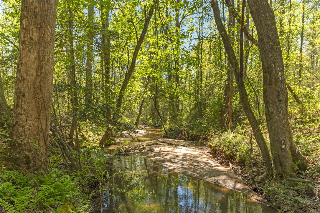 A tranquil stream meanders through a lush, verdant woodland, offering a peaceful natural setting.