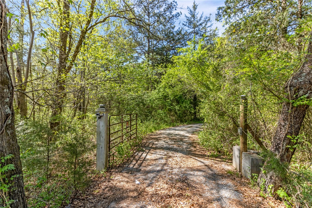 2312 Old Pendleton Road Easley, SC 29642 - Photo 3 of 16 A private, gravel driveway leads through verdant foliage, offering seclusion and natural beauty.