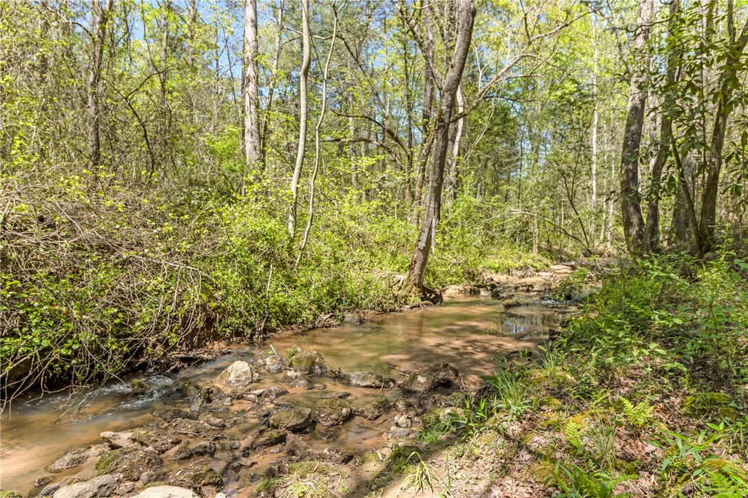 2312 Old Pendleton Road Easley, SC 29642 - Photo 4 of 16 A tranquil stream meanders through a lush, green forest, offering a serene natural escape.