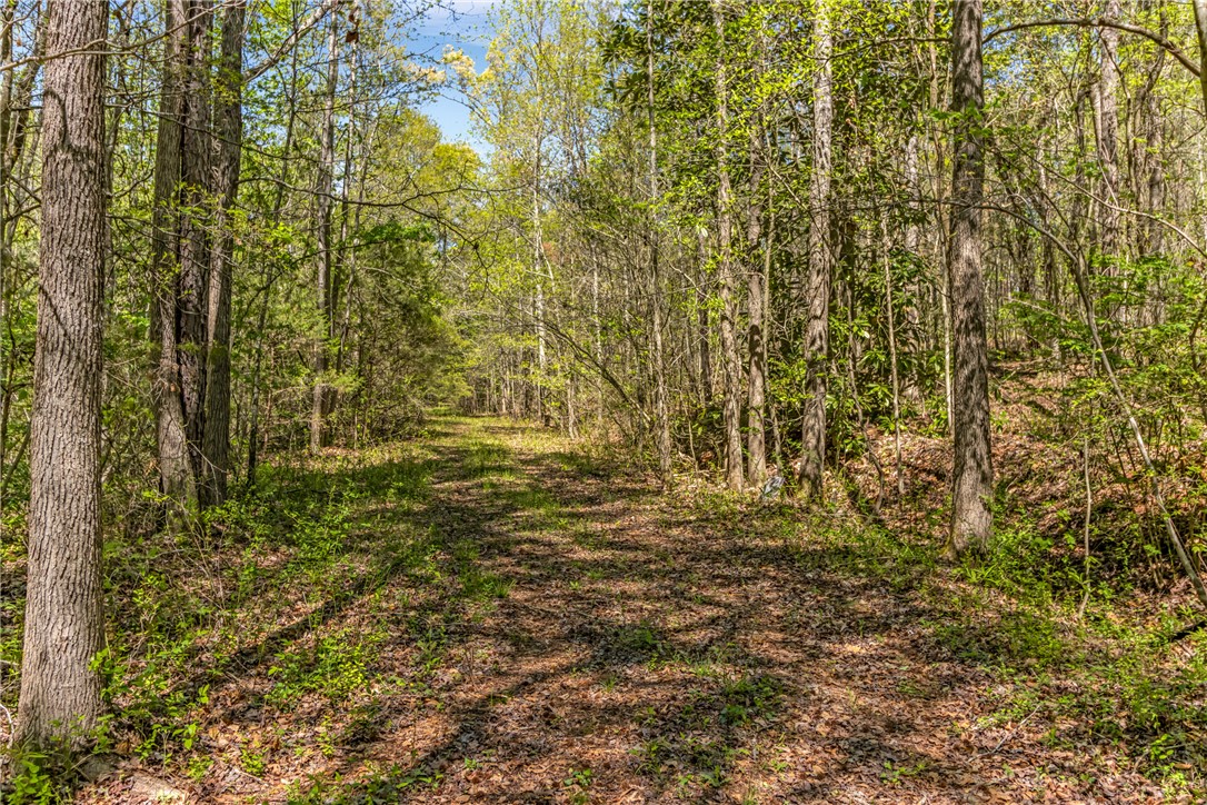 2312 Old Pendleton Road Easley, SC 29642 - Photo 5 of 16 A tranquil path winds through a verdant forest, offering a serene escape into nature's embrace.