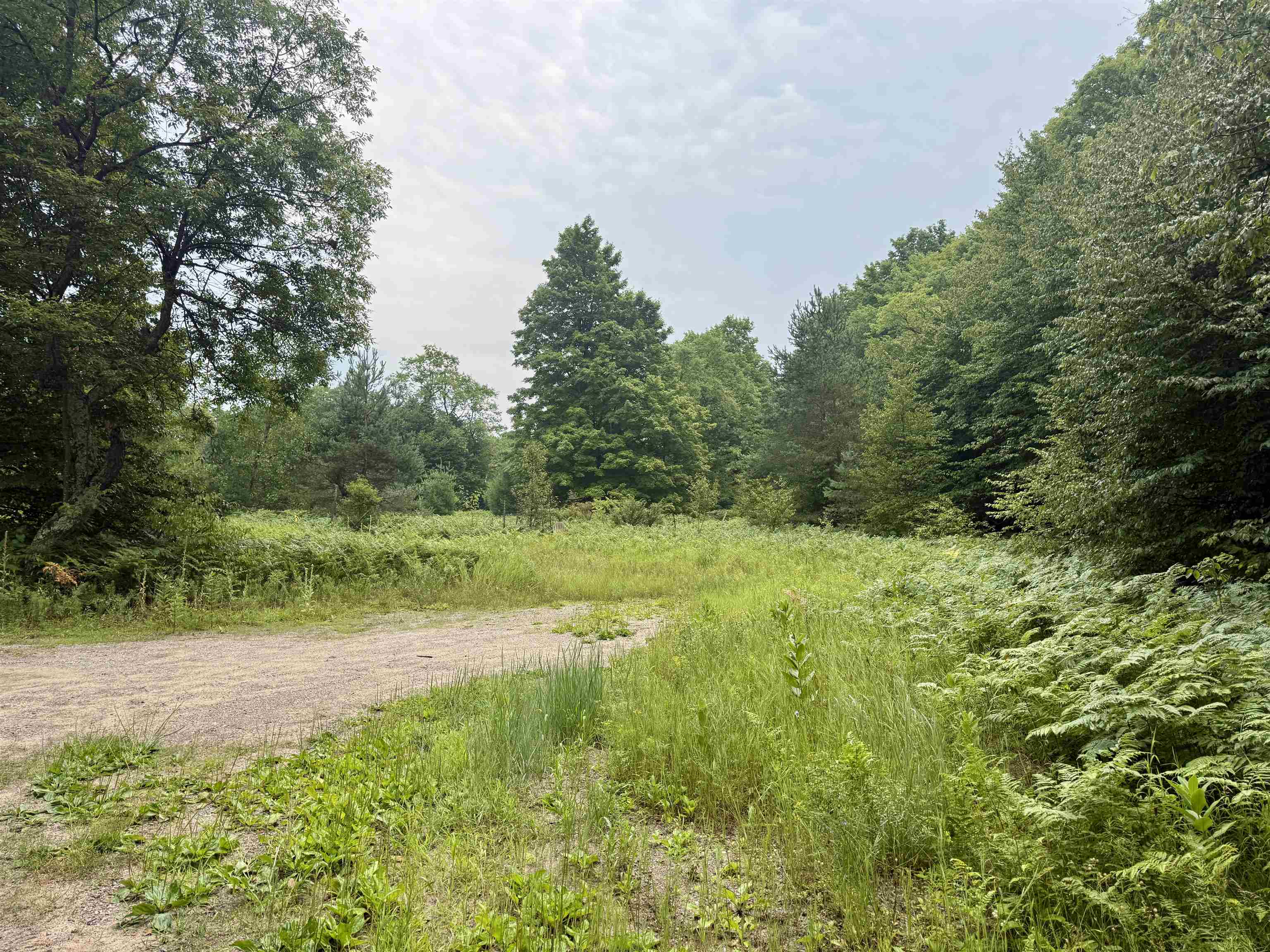 4989 State Road Interlochen, MI 49643 - Photo 1 of 21 1948679-07823322-b45f-4b94-982c-e4040fed34c3.JPG