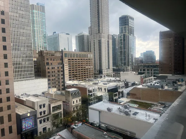 $3,500 | 1000 North Lake Shore Plaza, Unit 1401, Chicago, IL 60611