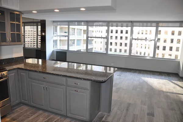 $3,500 | 1000 North Lake Shore Plaza, Unit 1401, Chicago, IL 60611