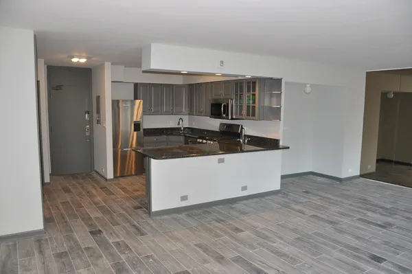 $3,500 | 1000 North Lake Shore Plaza, Unit 1401, Chicago, IL 60611