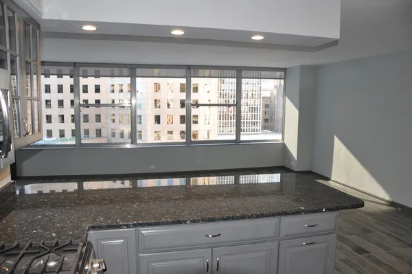 $3,500 | 1000 North Lake Shore Plaza, Unit 1401, Chicago, IL 60611