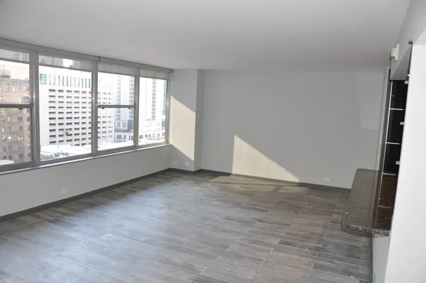 $3,500 | 1000 North Lake Shore Plaza, Unit 1401, Chicago, IL 60611