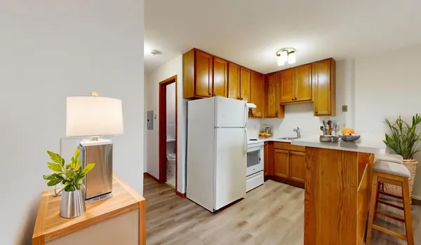 $895 | 2216 Pleasant Avenue, Unit 205, Minneapolis, MN 55404