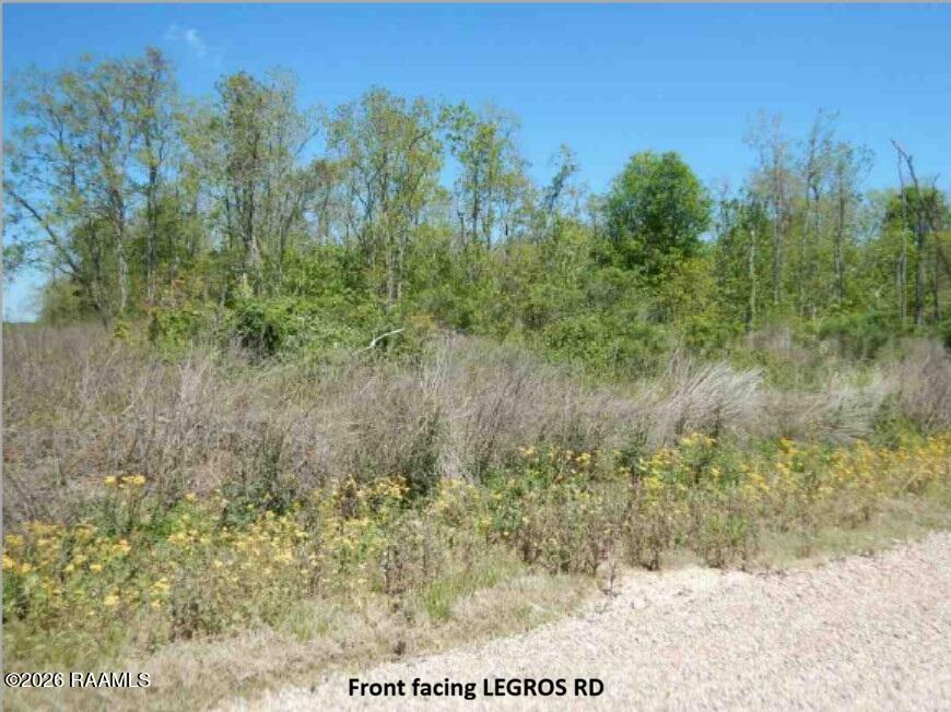 Tbd Legros Road Morse, LA 70559 - Photo 2 of 4