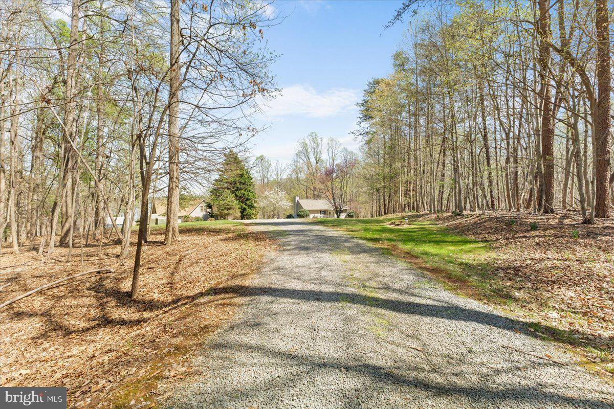 290 Dodee Lane Union Hall, VA 24176 - Photo 6 of 64 a view of yard with trees