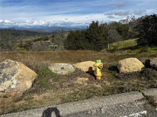 a view of a lake from a yard