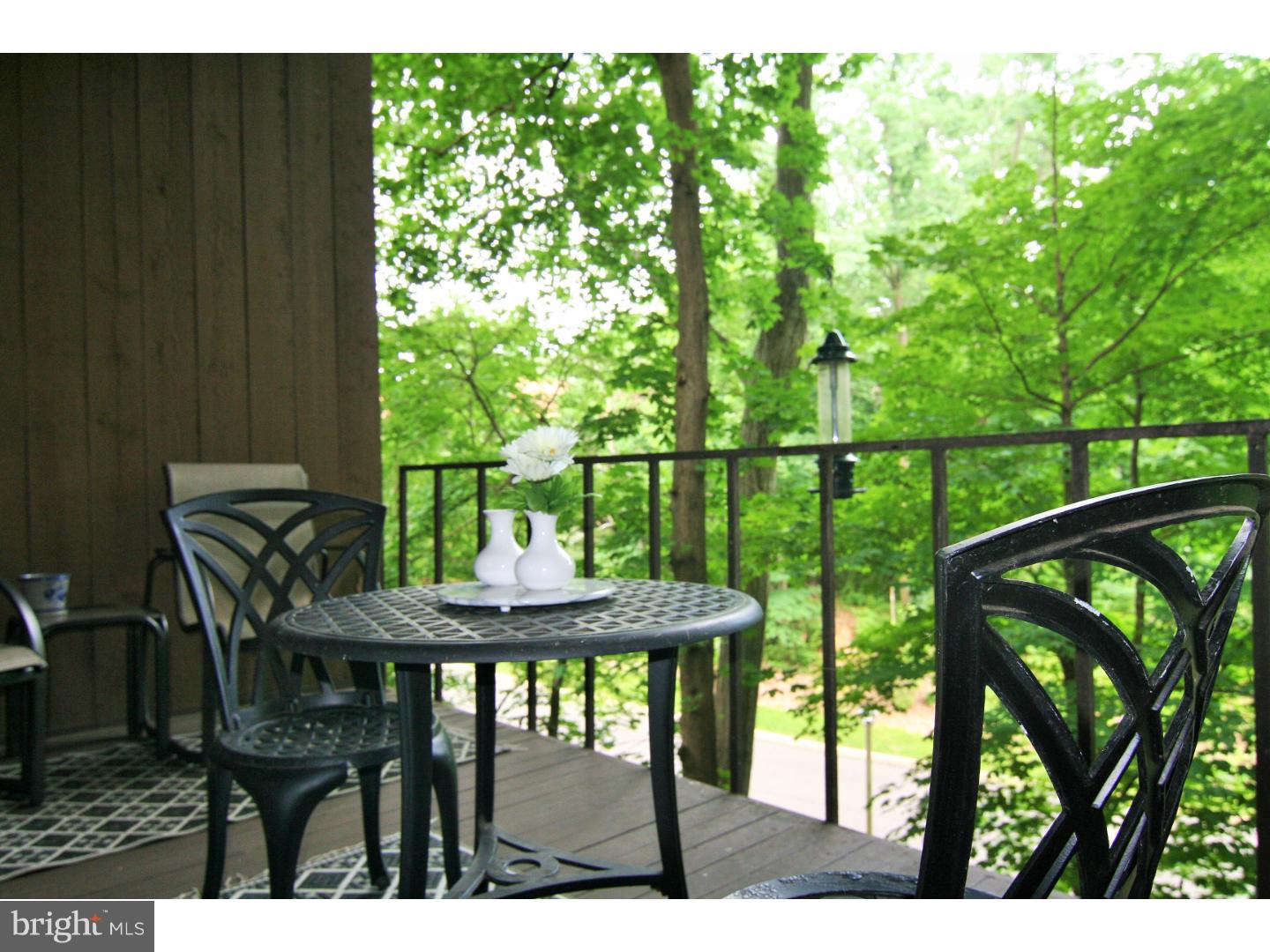 6 Smoke Rise New Hope, PA 18938 - Photo 16 of 23 Deck