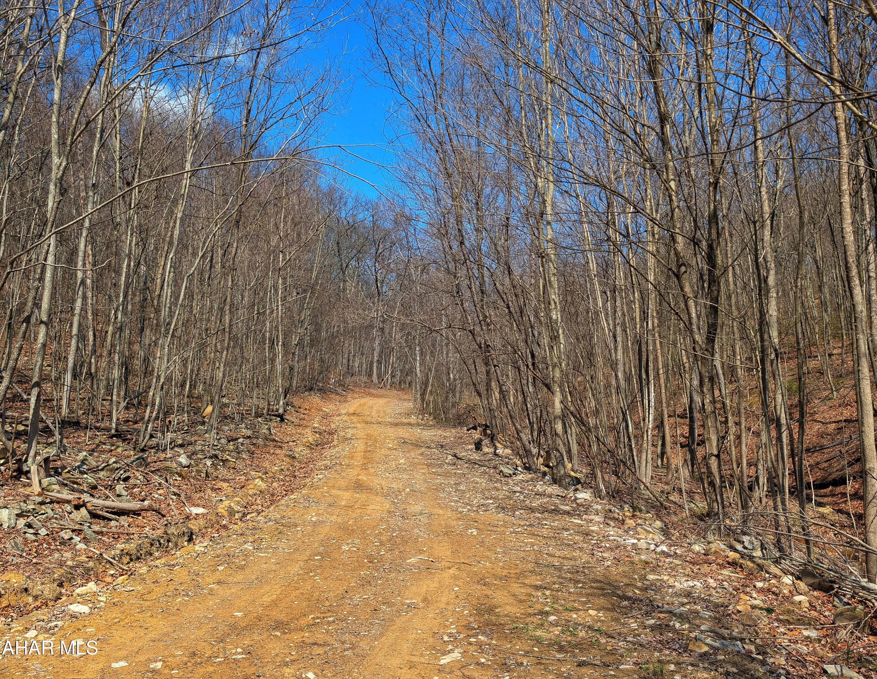 0 Pine Ridge Road Saxton, PA 16678 - Photo 23 of 23