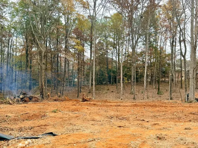 a view of outdoor space with trees
