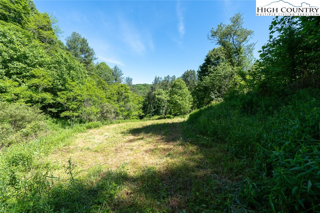 East Big Springs Road Lansing, NC 28643 - Photo 15 of 33 a view of a lush green space