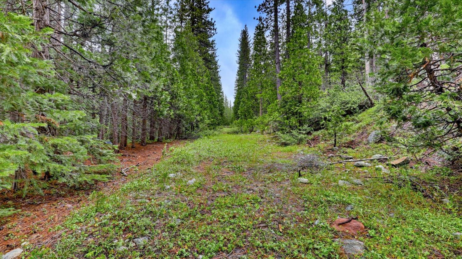 0 Texas Hill Road Emigrant Gap, CA 95715 - Photo 9 of 24