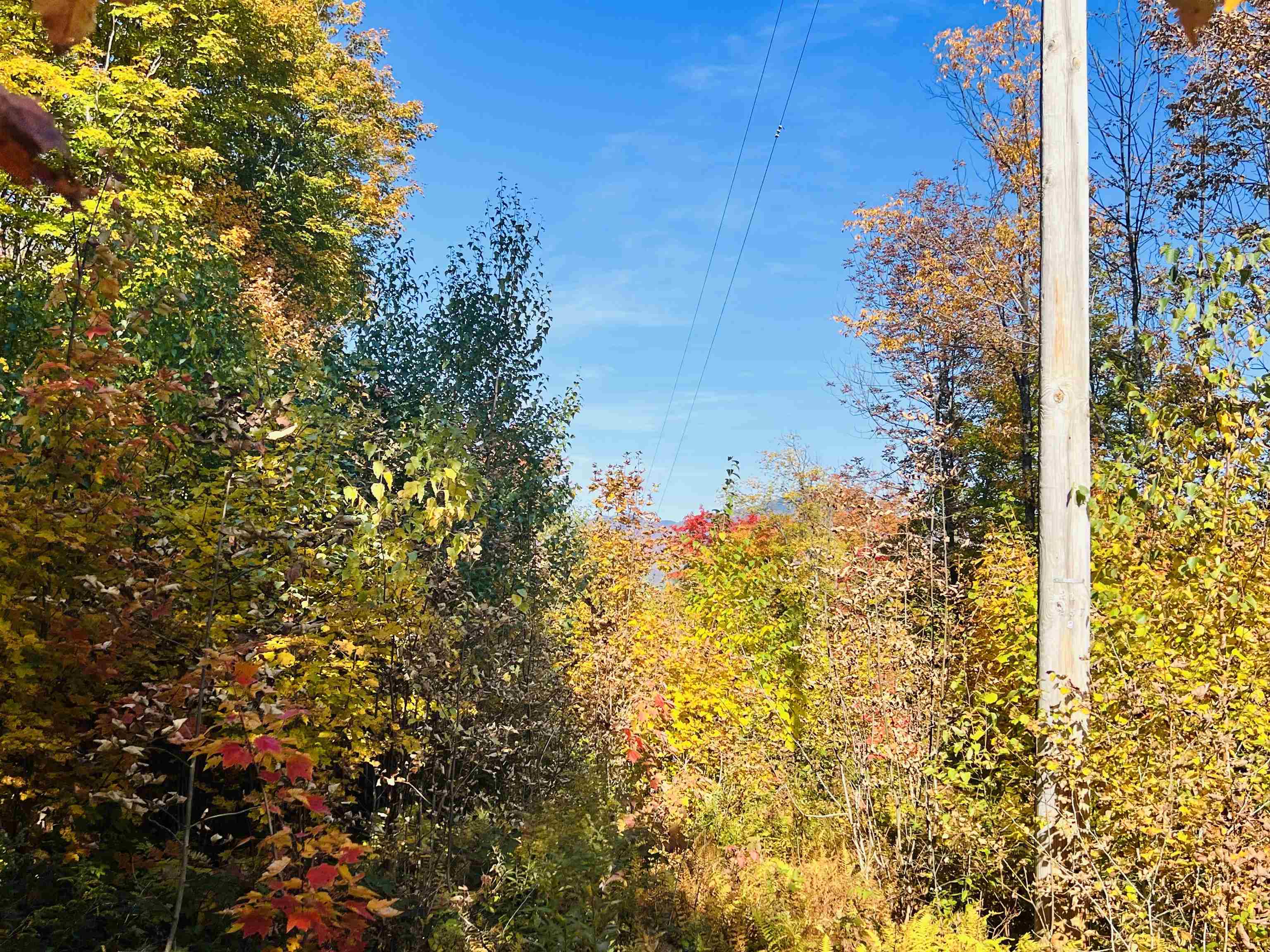 686 Deep Gibou Road Montgomery, VT 05471 - Photo 6 of 21 Gallery Image 6