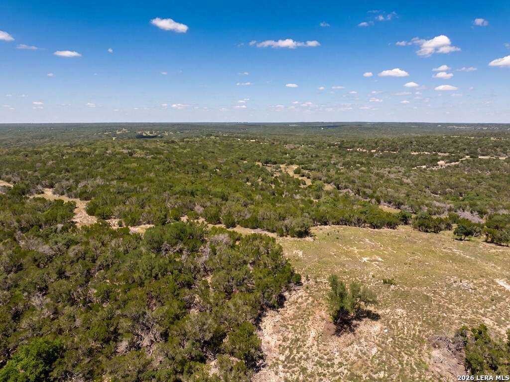 204 Wilson Rand Road Hunt, TX 78024 - Photo 10 of 46