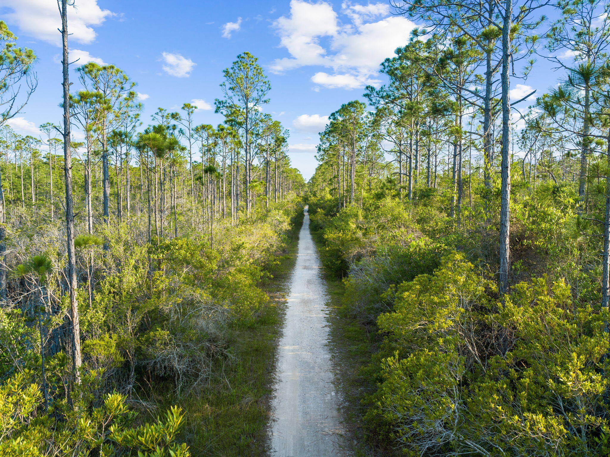 24 Lovegrass Way Santa Rosa Beach, FL 32459 - Photo 50 of 56 Lily Lane Beach Trail