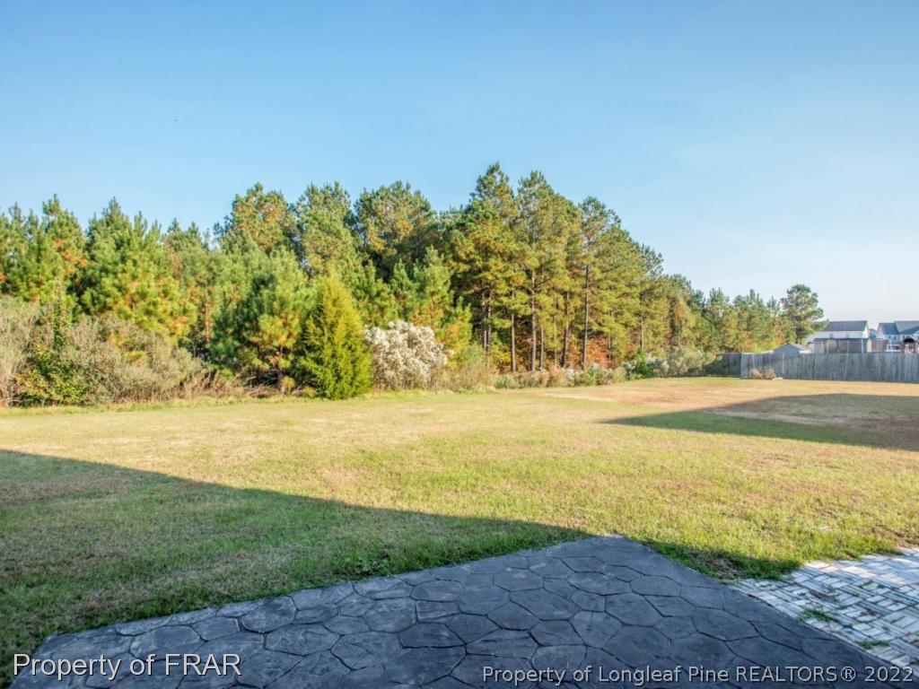 437 St Johns Loop Raeford, NC 28376 - Photo 34 of 35 a view of yard with ocean view