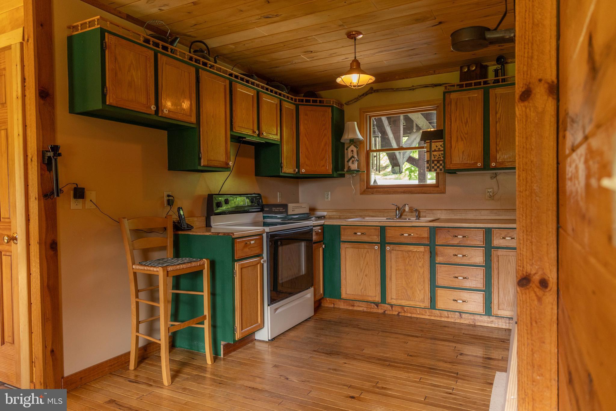 975 Lambs Run Road Arbovale, WV 24915 - Photo 43 of 77