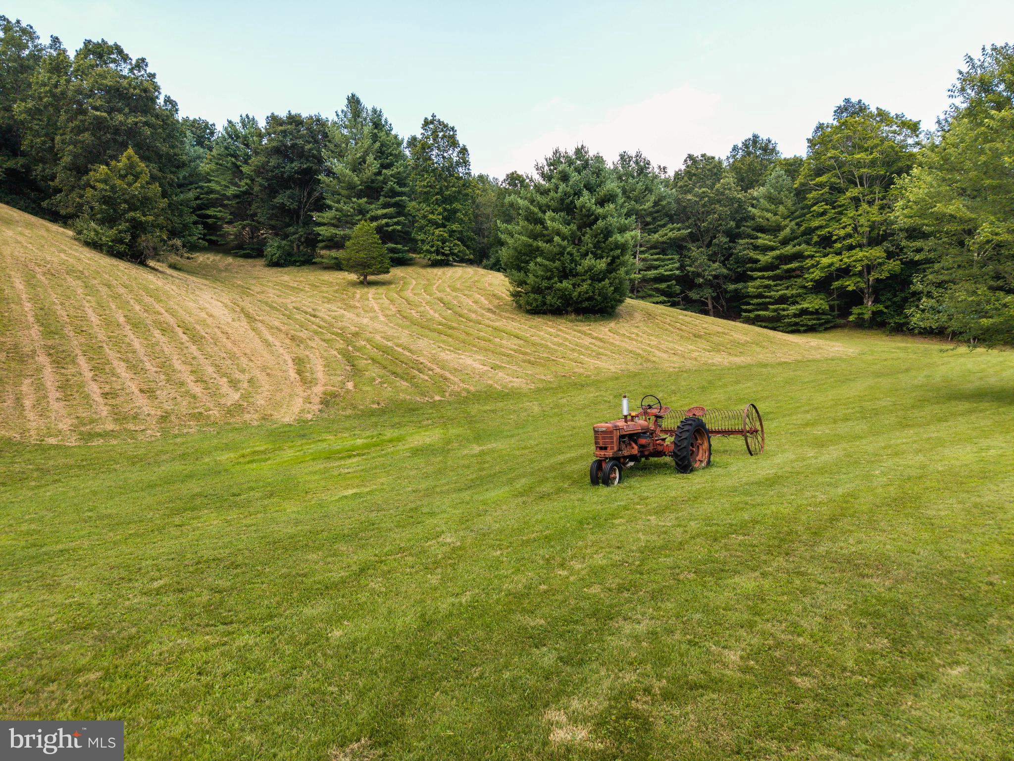 975 Lambs Run Road Arbovale, WV 24915 - Photo 58 of 77
