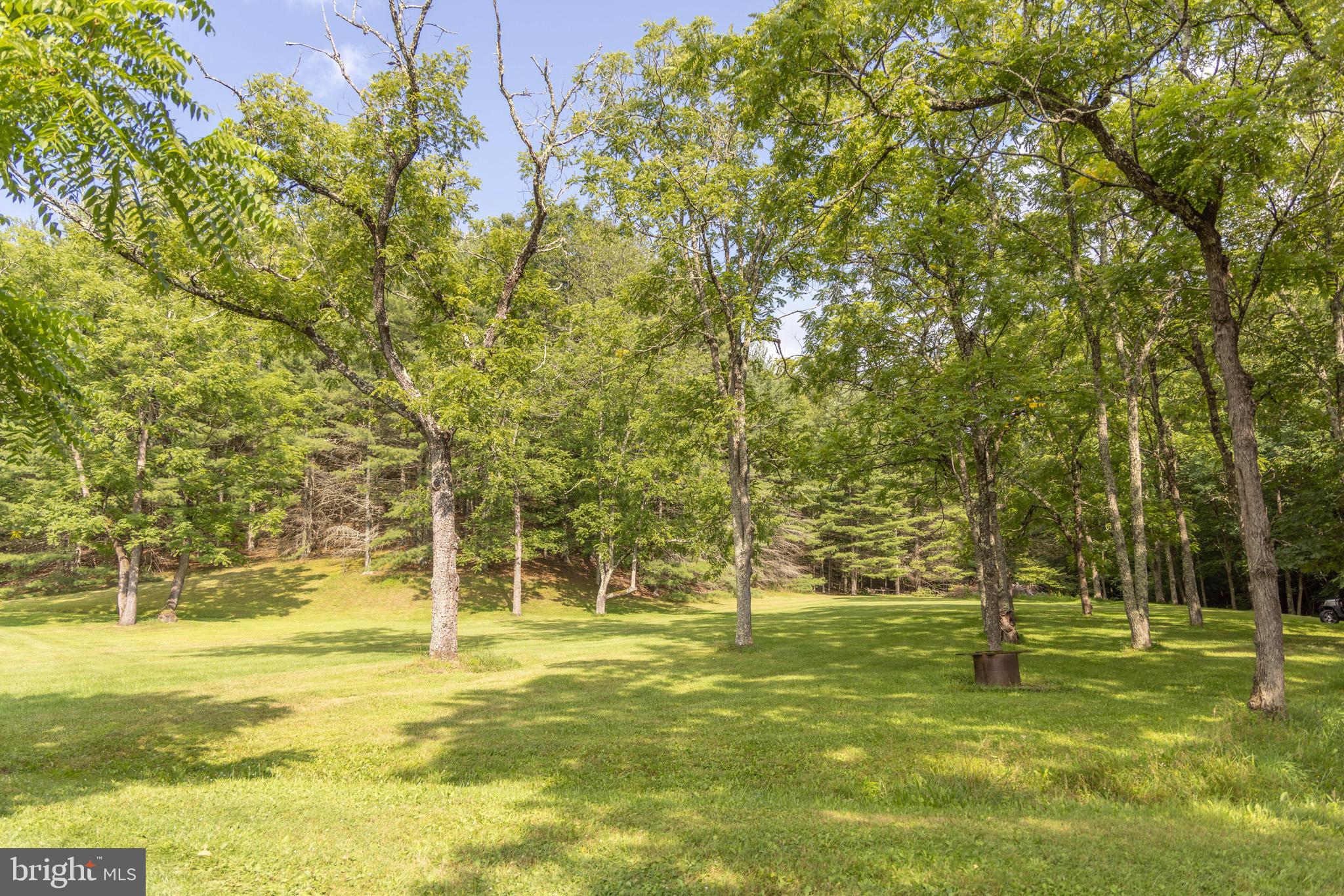 975 Lambs Run Road Arbovale, WV 24915 - Photo 59 of 77