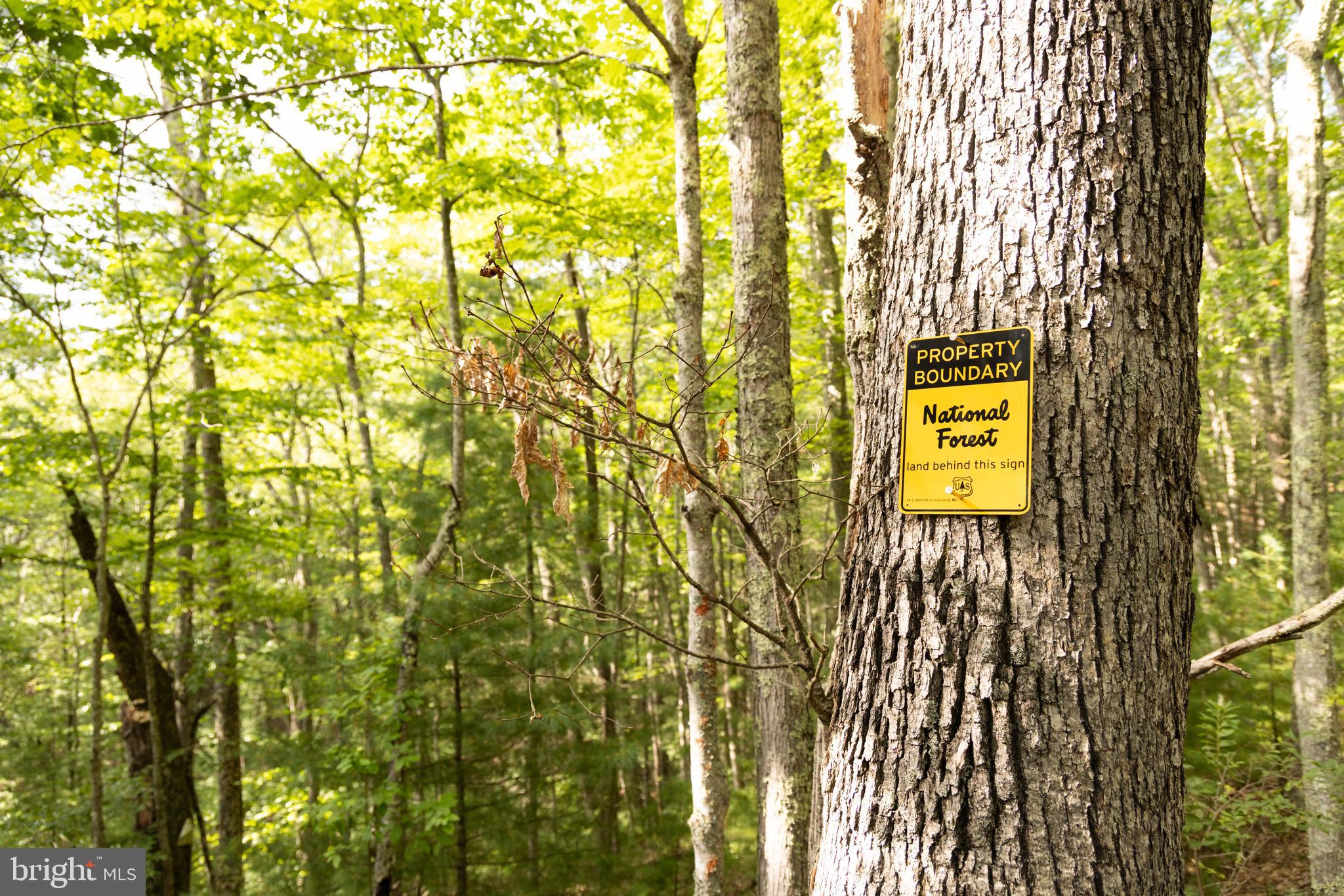 975 Lambs Run Road Arbovale, WV 24915 - Photo 60 of 77