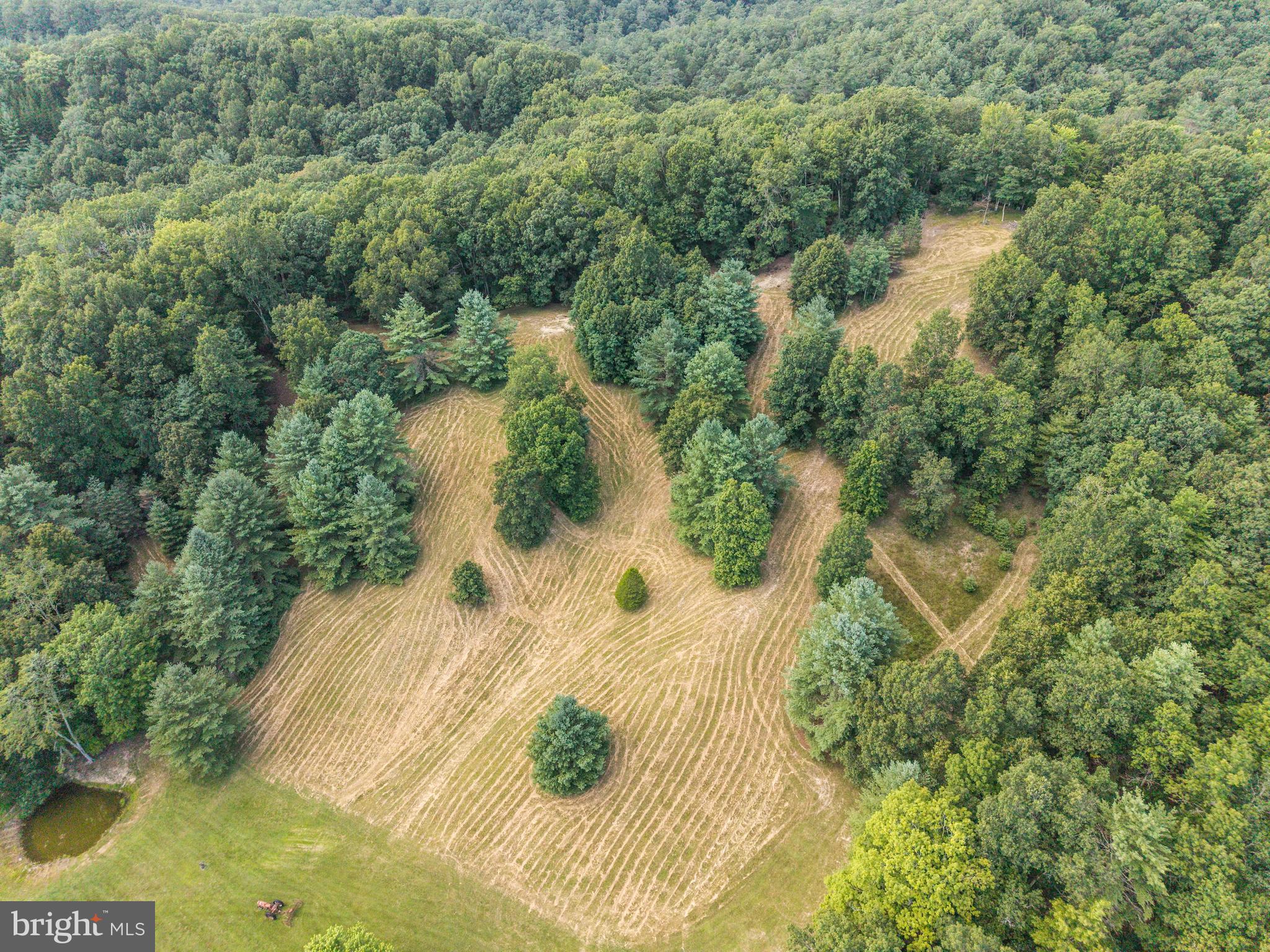 975 Lambs Run Road Arbovale, WV 24915 - Photo 61 of 77