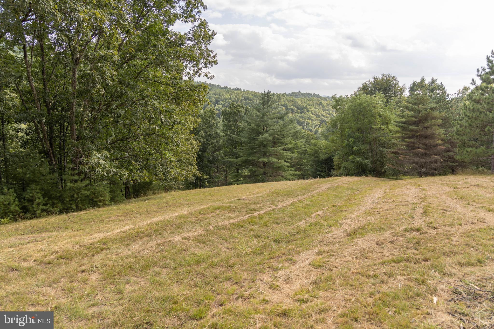 975 Lambs Run Road Arbovale, WV 24915 - Photo 63 of 77