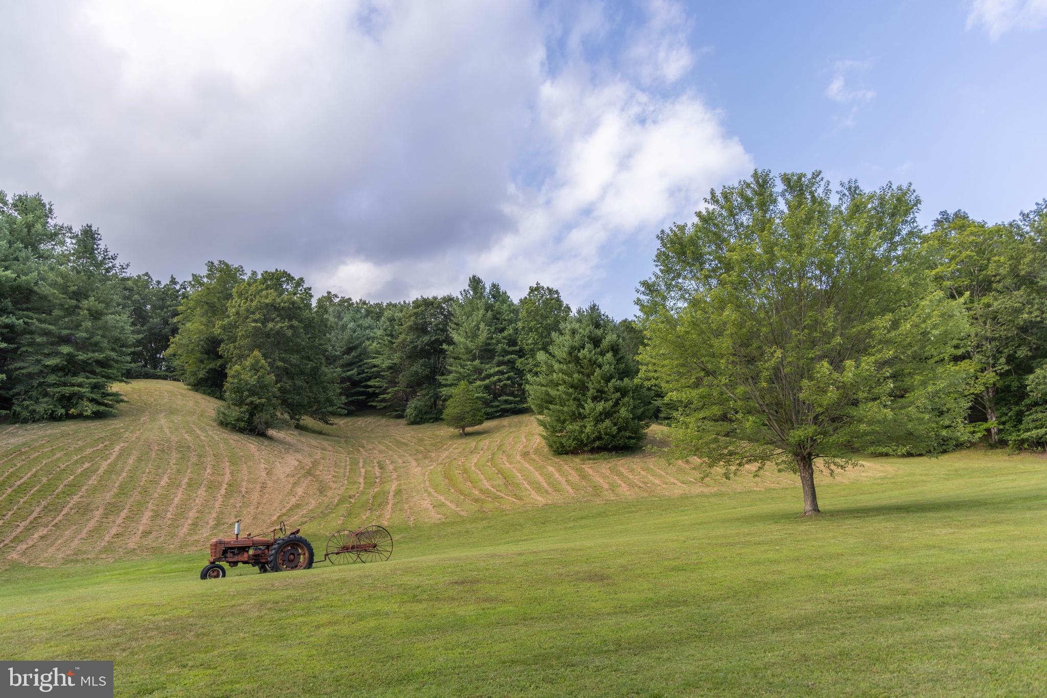 975 Lambs Run Road Arbovale, WV 24915 - Photo 67 of 77
