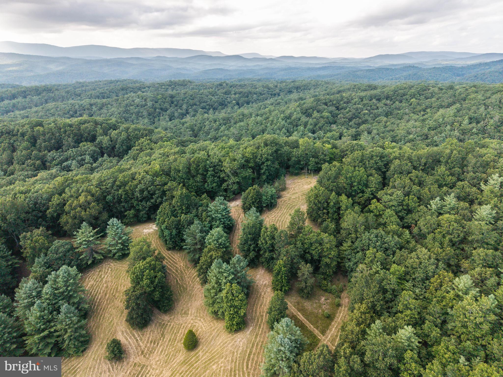 975 Lambs Run Road Arbovale, WV 24915 - Photo 7 of 77