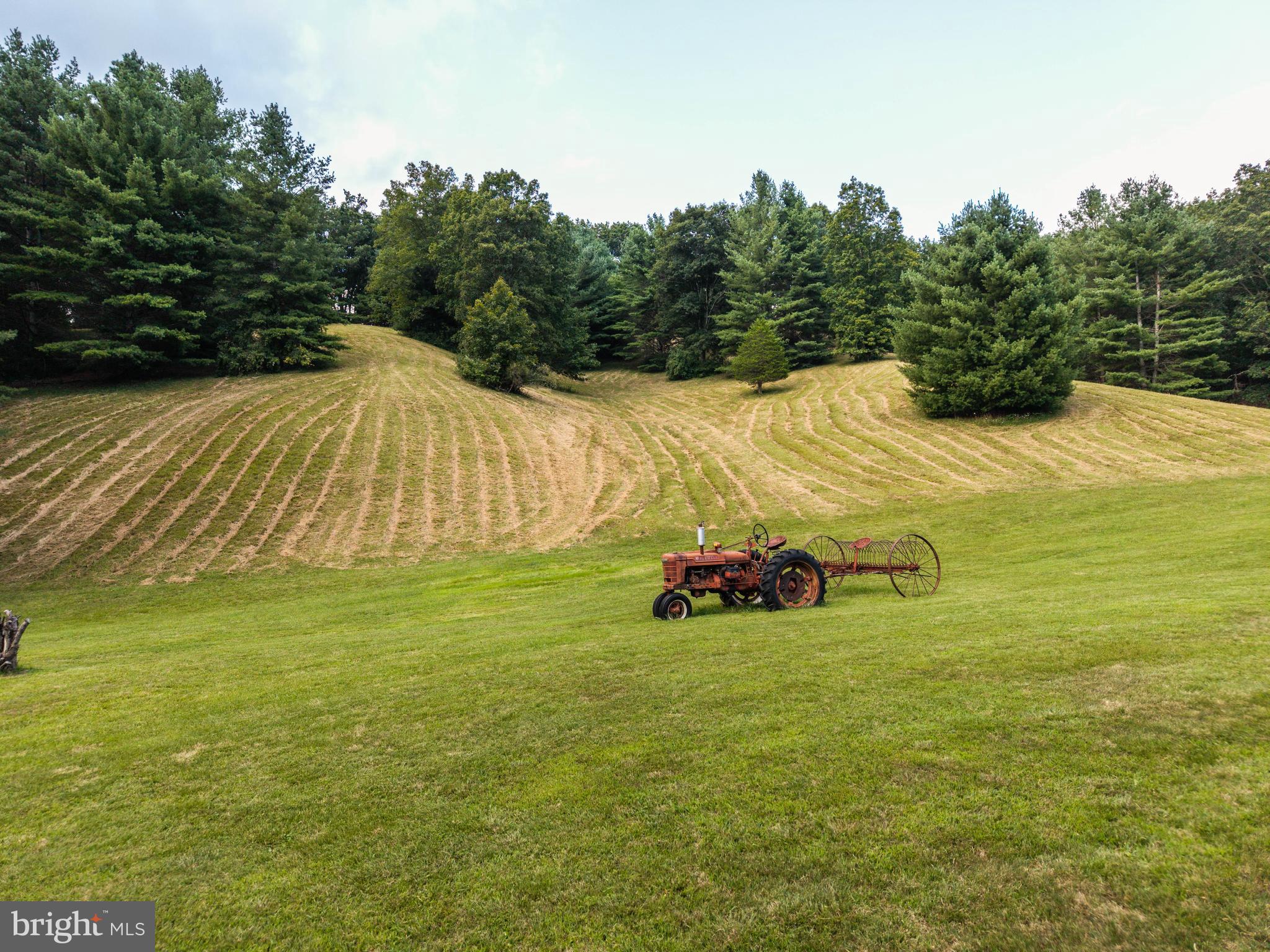 975 Lambs Run Road Arbovale, WV 24915 - Photo 72 of 77