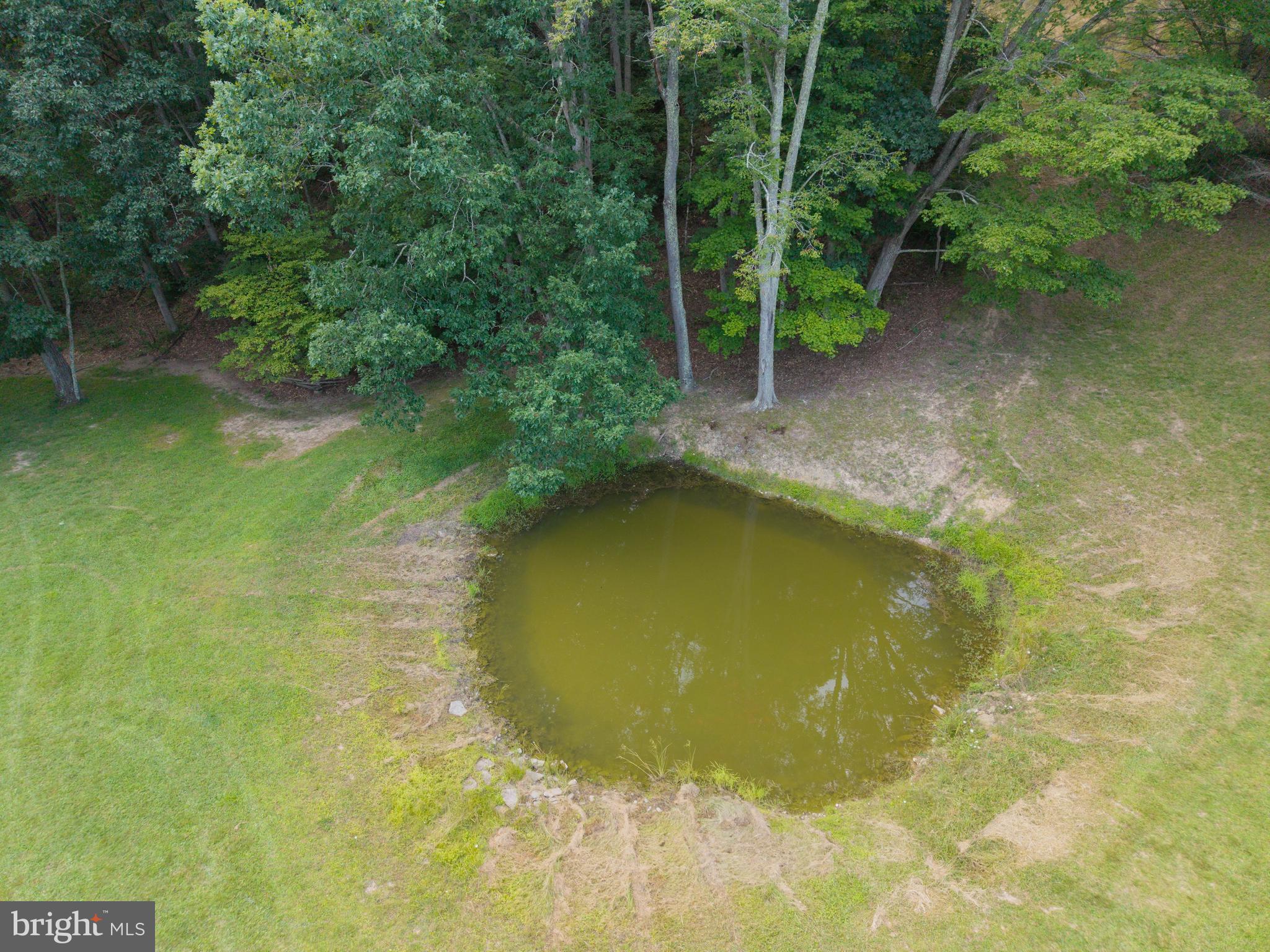 975 Lambs Run Road Arbovale, WV 24915 - Photo 73 of 77