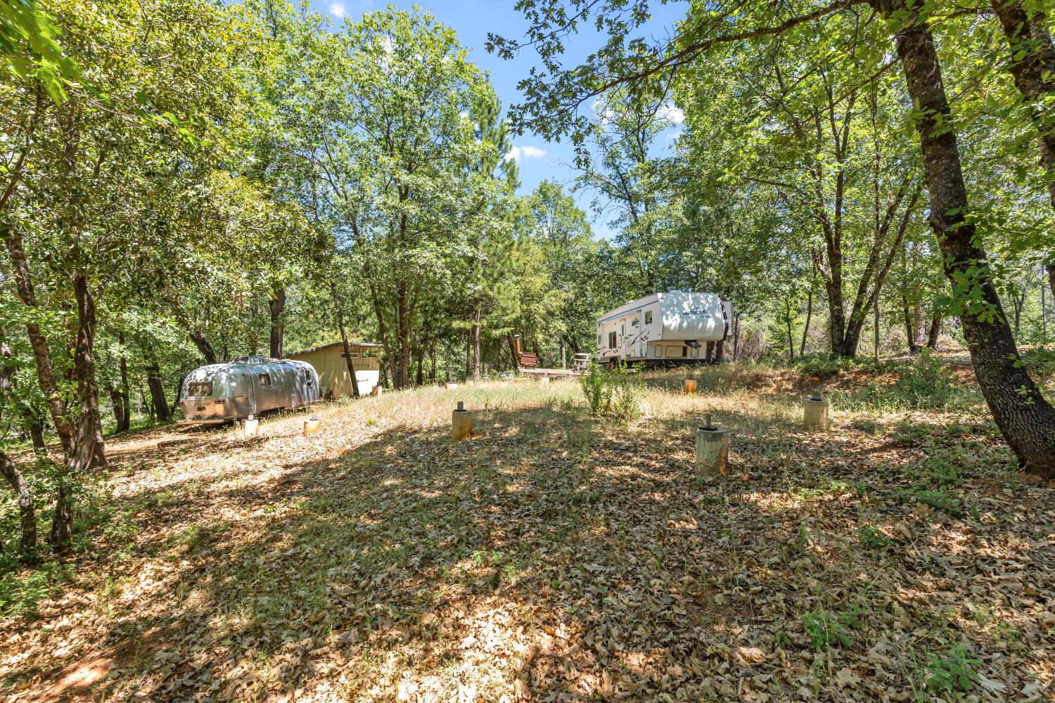 2640 Trail Gulch Road Placerville, CA 95667 - Photo 27 of 37 a view of a yard with trees