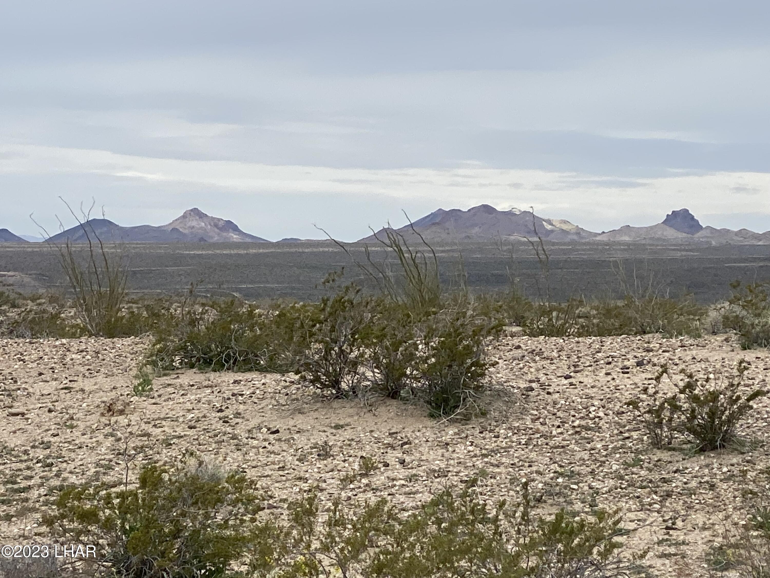 3079 South Golden Spike Road Yucca, AZ 86438 - Photo 5 of 7 a view of a house with a yard and a mountain view in back