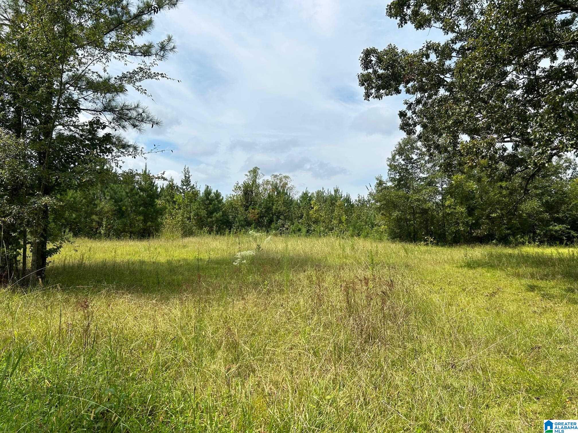 0 Alabama Highway Ohatchee, AL 36271 - Photo 10 of 10