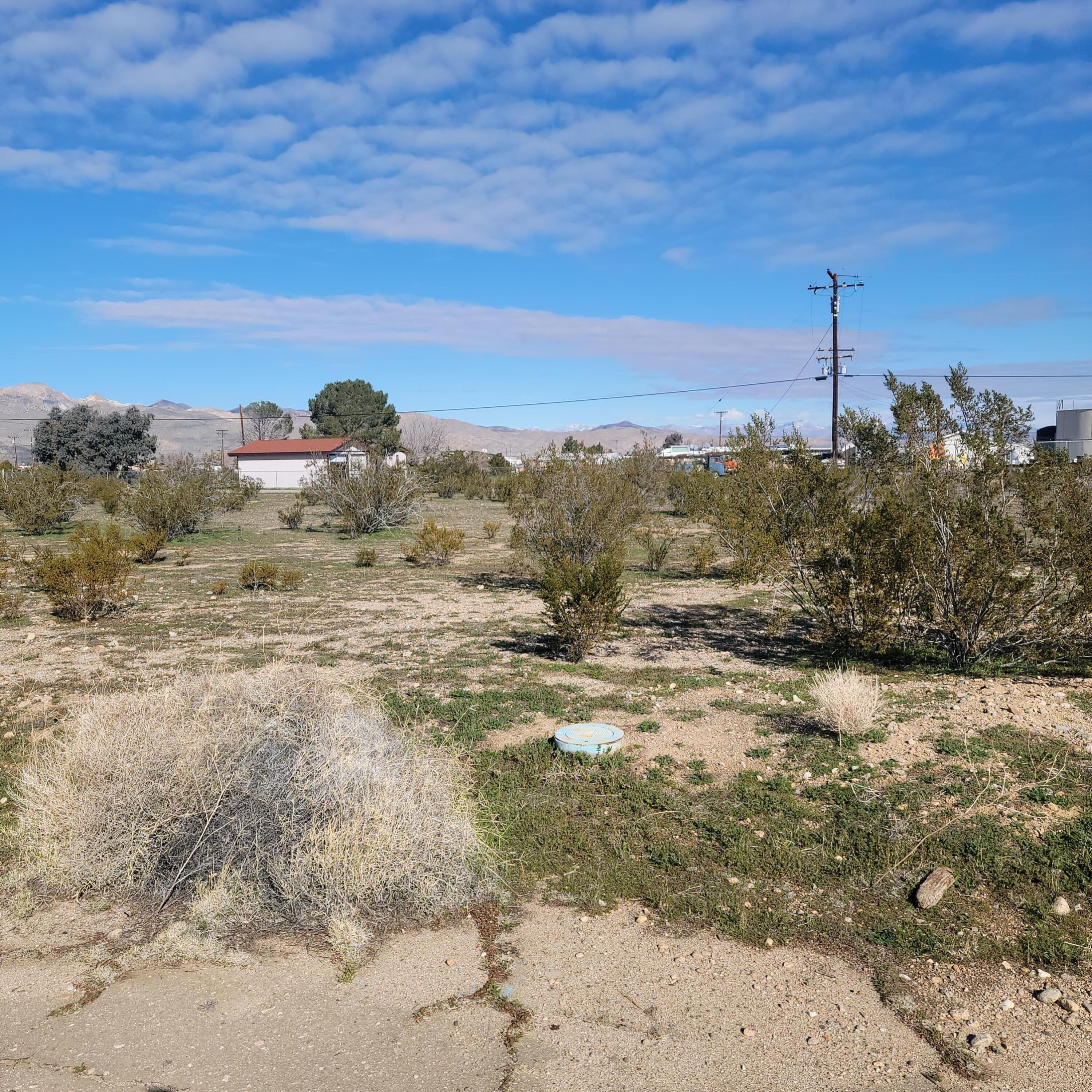 a view of a dry yard with wooden fence