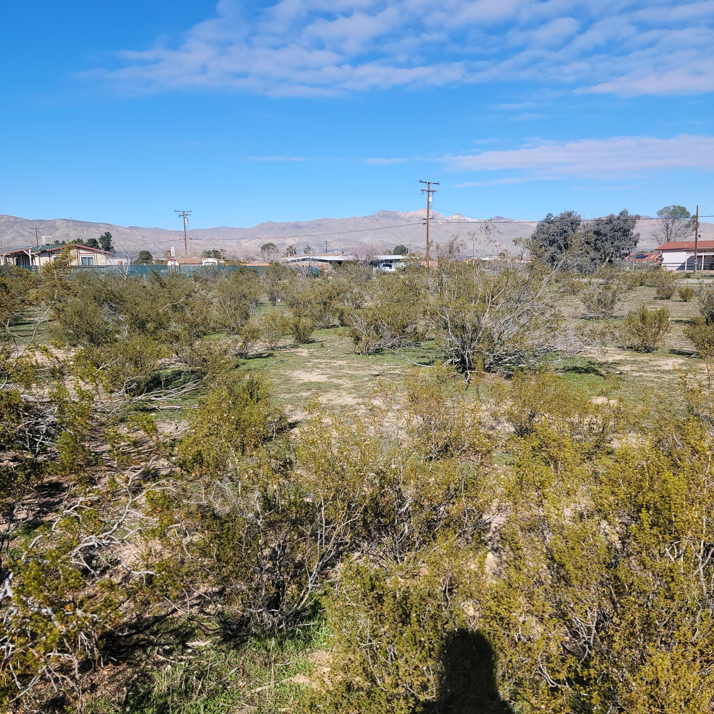 Phillips Road Mojave, CA 93501 - Photo 5 of 12 a view of a city