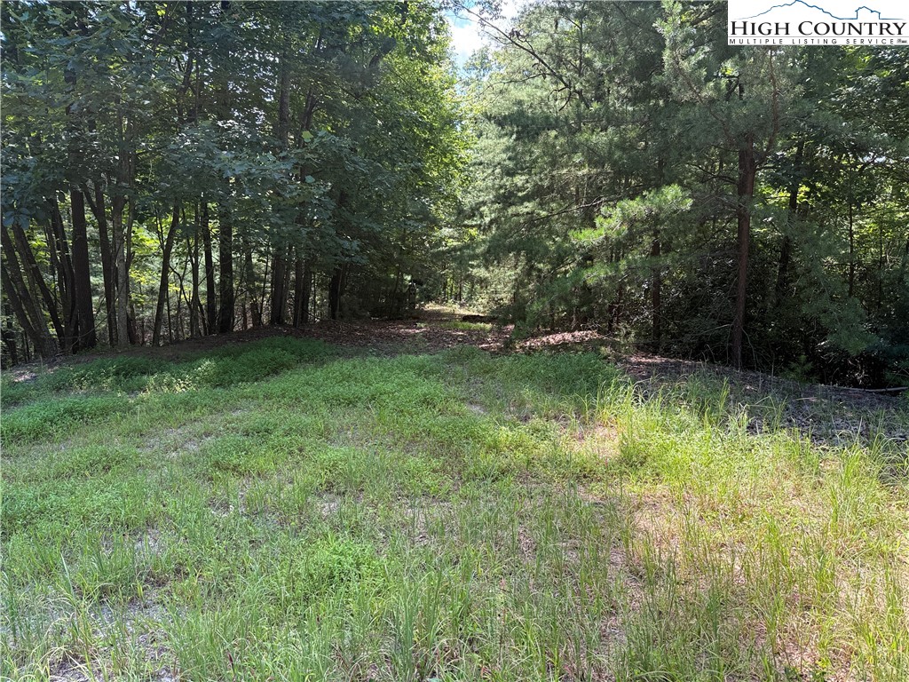 Lot 102-103 Hickory Hollow Road Purlear, NC 28665 - Photo 2 of 45 a view of a lake view