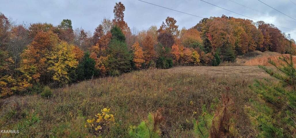 36.59-ac River Road Decatur, TN 37322 - Photo 1 of 10 2