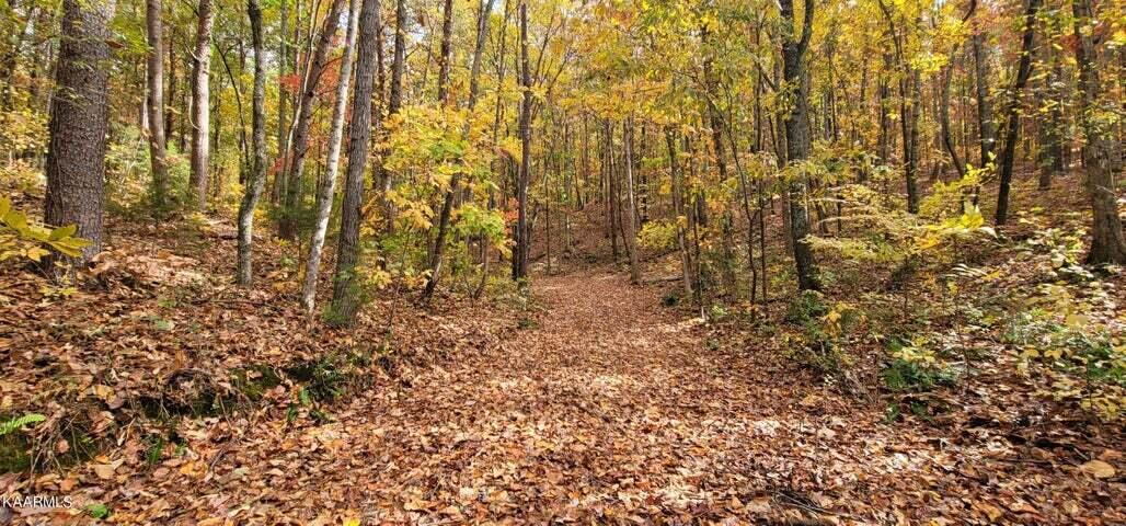 36.59-ac River Road Decatur, TN 37322 - Photo 5 of 10 1