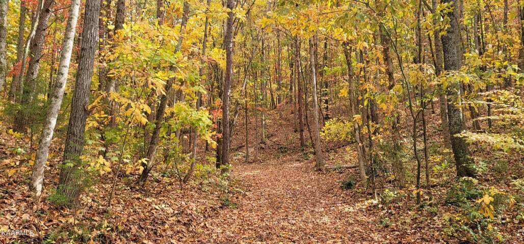36.59-ac River Road Decatur, TN 37322 - Photo 6 of 10 3